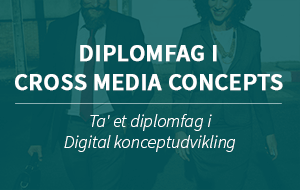 Diplomfag Cross media content