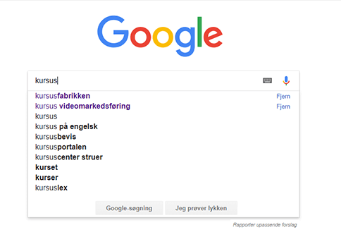 google søgemaskine